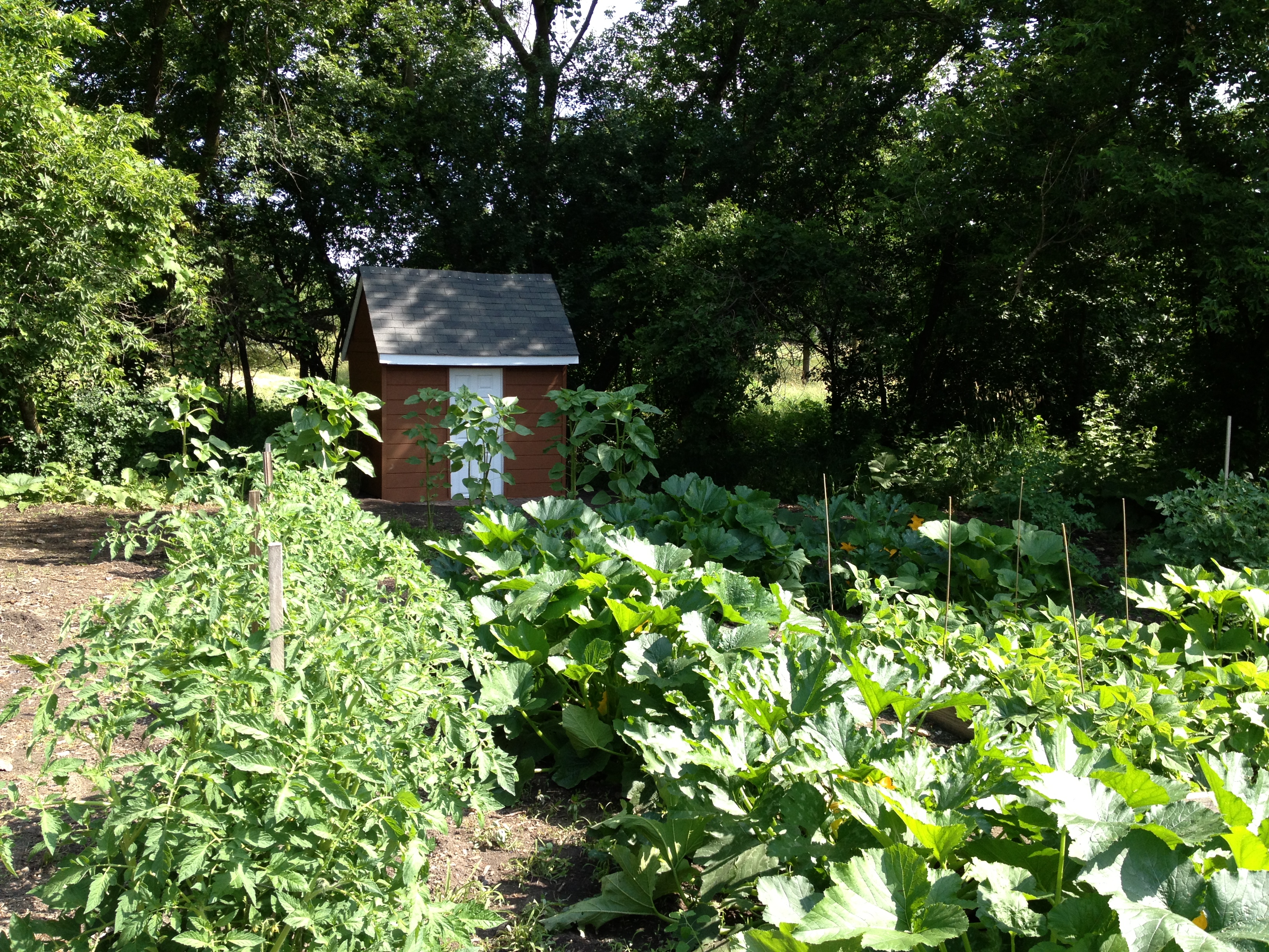 Community Garden Plots